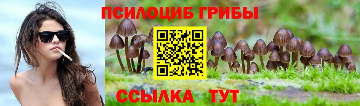 Чапаевск  Галлюциногенные грибы Cubensis  Вход с VPN  Псилоцибиновые грибы мухоморы 